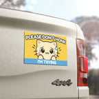 Cute Cat Car Magnet – Please Don’t Honk I’m Trying – Funny Anxious Driver Magnet – Student Driver Gift