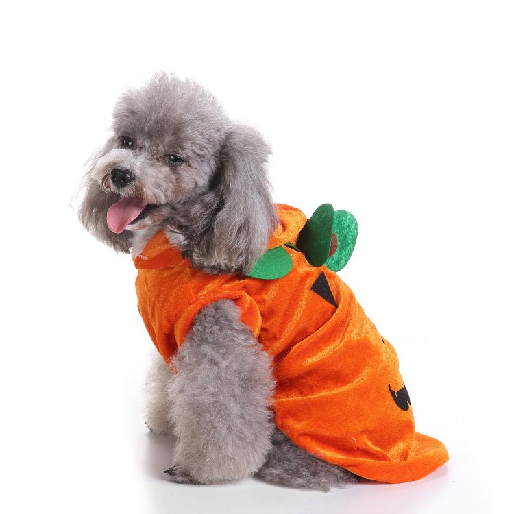 Halloween & Christmas Dog Costume Outfit