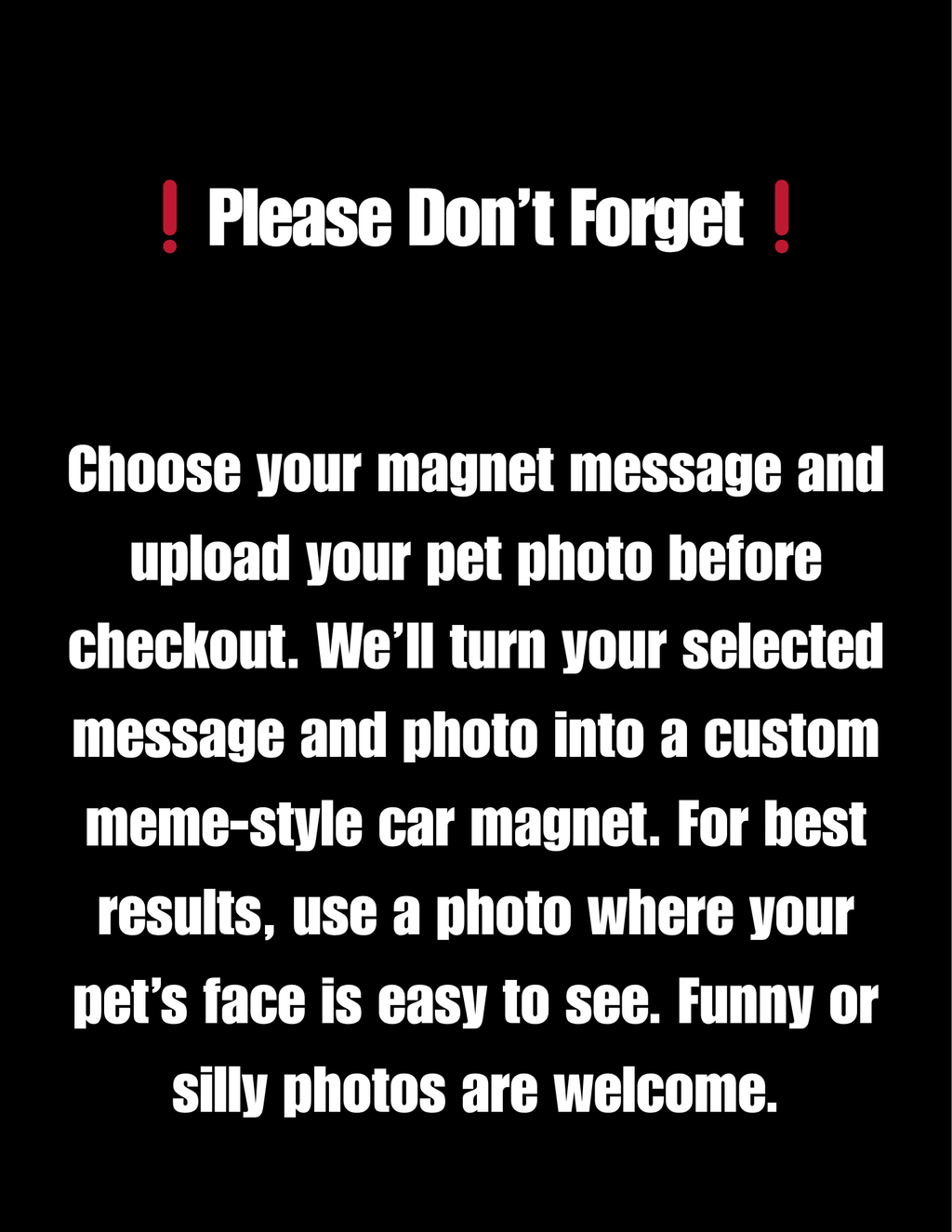 PetPrints Custom Pet Photo Car Magnet – Personalized Dog & Cat Magnet