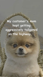 PetPrints Custom Pet Photo Car Magnet – Personalized Dog & Cat Magnet